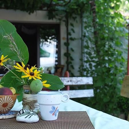 Hikers Hostel ヴェリコ・タルノヴォ エクステリア 写真